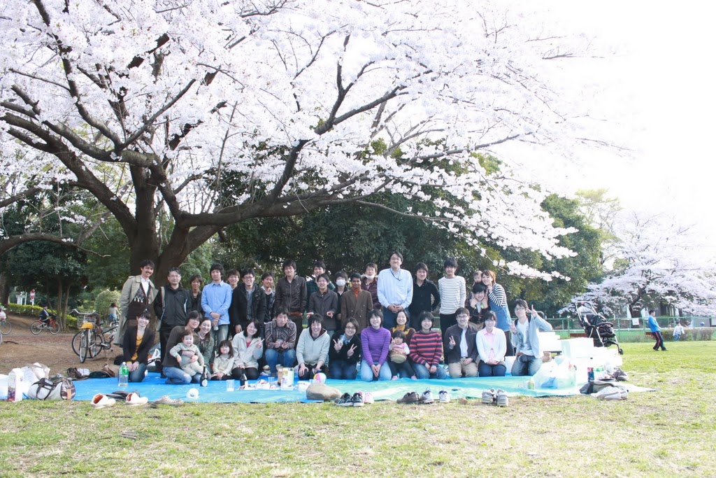 2011hanami.jpg