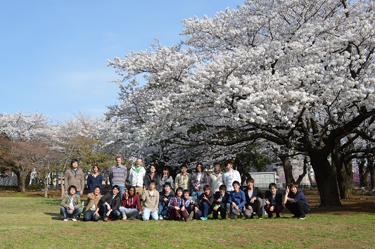 2014hanami.jpg